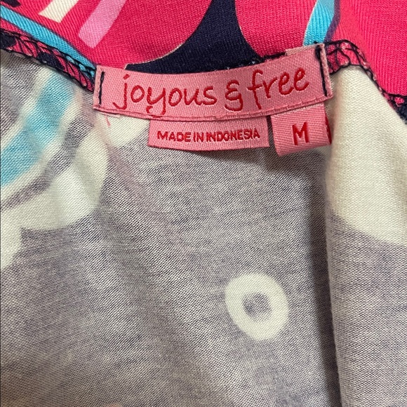 Joyous&Free dress size medium EUC - Picture 3 of 3